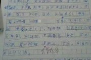 娱乐吃瓜酱小学生作文,小学生眼中的娱乐圈风云